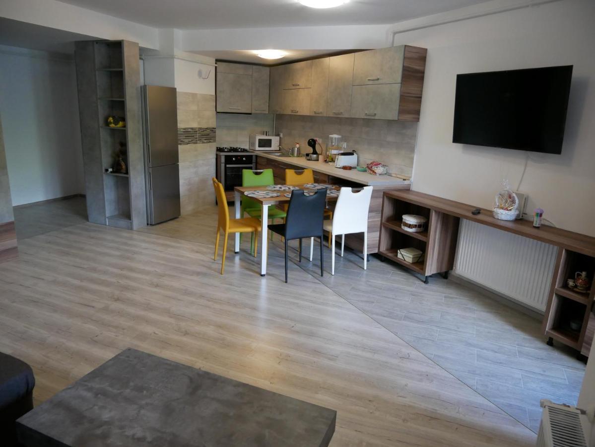 Апартаменты Riky Apart Mountain View Синая Экстерьер фото